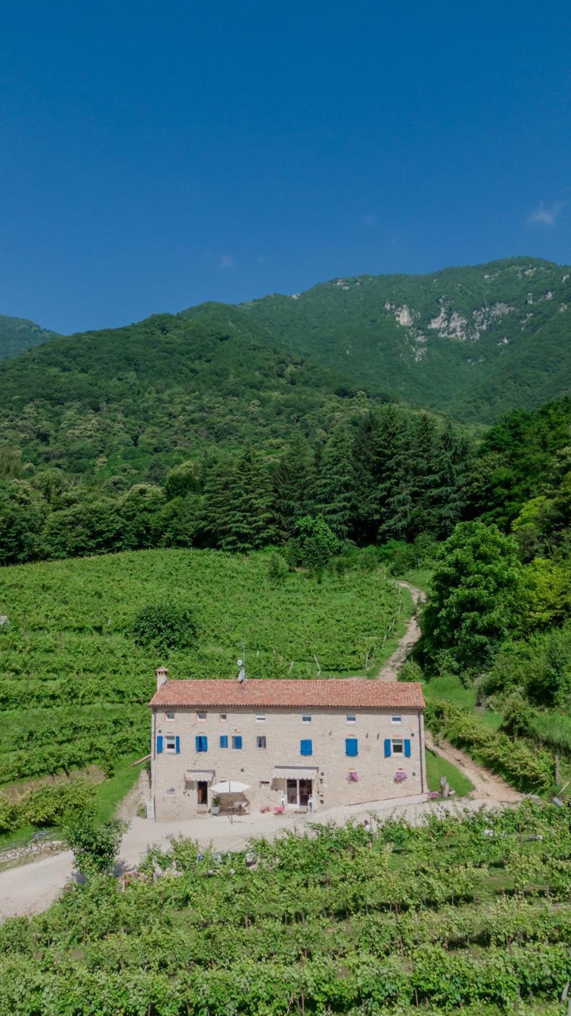 Podere del Bosc Valmareno Exterior foto